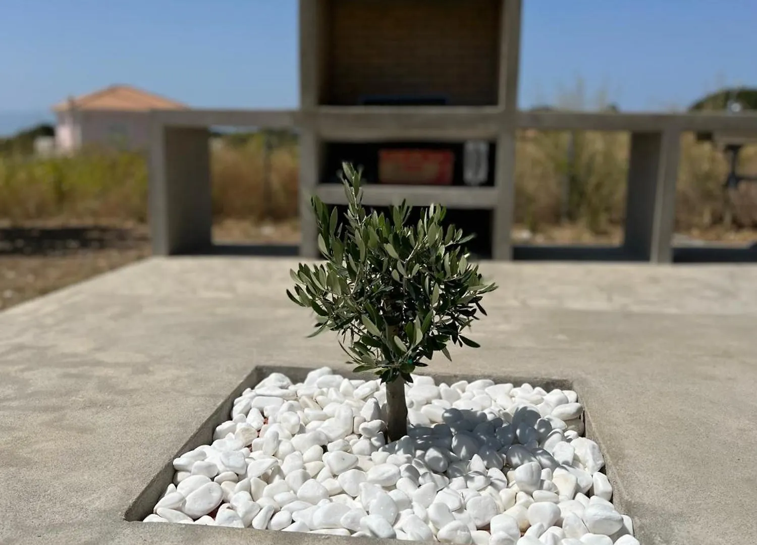 Alberi - Izla Homes Skala  Villa Skala (Kefalonia)